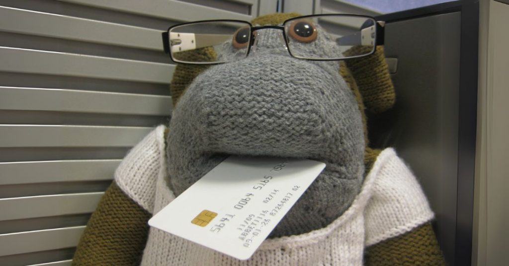 The Payment Monkey wearing glasses and holding a white test payment card in his mouth.